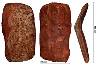 plaque dermique dorcale d'Elosuchus cherufiensis